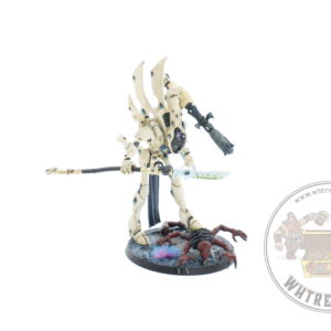 Studio Painted Eldar Exodites Army