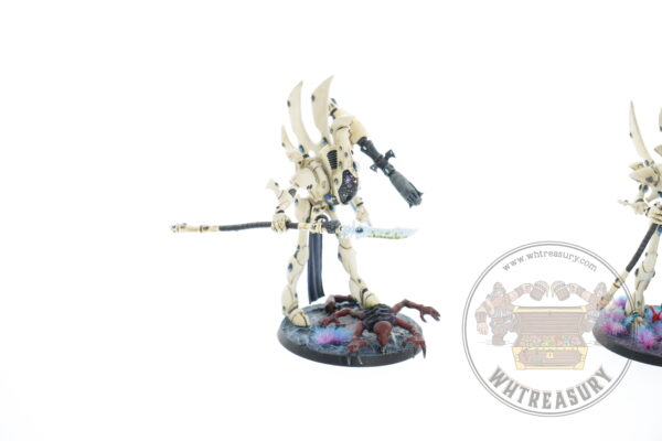 Studio Painted Eldar Exodites Army