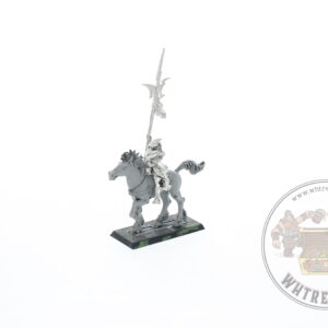 Dark Elf Dark Rider Standard Bearer