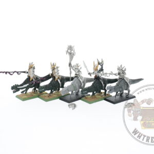 Dark Elf Cold One Knights